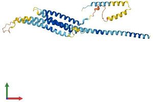 AlphaFold protein structure predicition of Human Recombinant STX16 Protein, UniprotID O14662 (Syntaxin 16 Protein (STX16) (AA 1-325) (His tag))