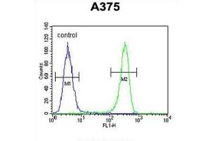 Flow Cytometry (FACS) image for anti-Desmocollin 1 (DSC1) antibody (ABIN3003859) (Desmocollin 1 antibody)