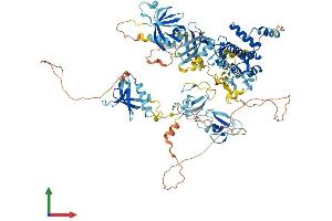 Protein Structure (PS) image for Protein Kinase D2 (PKD2) (AA 1-875) protein (His tag) (ABIN7564470)
