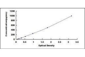 Fibroblast Growth Factor 4 (FGF4) ELISA Kit