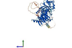 AlphaFold protein structure predicition of Mouse Recombinant Mon1a Protein, UniprotID Q6PDG8 (MON1A Protein (AA 1-556) (His tag))
