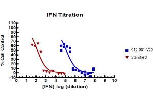 SDS-PAGE of Rat Interferon gamma Recombinant Protein Bioactivity of Rat Interferon gamma Recombinant Protein. (IFNG1-2 Protein)