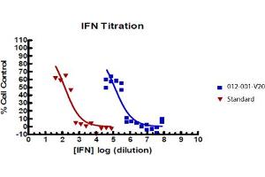SDS-PAGE of Rat Interferon gamma Recombinant Protein Bioactivity of Rat Interferon gamma Recombinant Protein. (IFNG1-2 Protein)