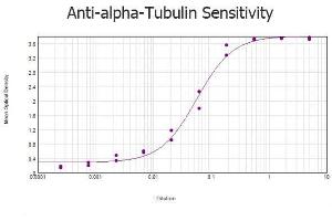 ELISA results of purified Rabbit anti-alpha-Tubulin Antibody tested against BSA-conjugated peptide of immunizing peptide. (alpha Tubulin antibody  (Internal Region))