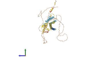 AlphaFold protein structure predicition of Human Recombinant TMEM266 Protein, UniprotID Q2M3C6 (Tmem266 Protein (AA 1-531) (His tag))