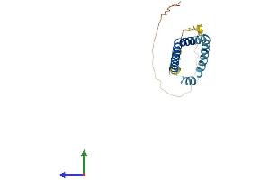 AlphaFold protein structure predicition of Human Recombinant TMEM31 Protein, UniprotID Q5JXX7 (TMEM31 Protein (AA 1-168) (His tag))