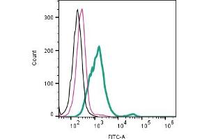 Cell surface detection of CD9 by direct flow cytometry in live intact human MDA- breast adenocarcinoma cell line: + Rabbit IgG Isotype Control-FITC (ABIN7582044). (CD9 antibody  (Extracellular) (FITC))