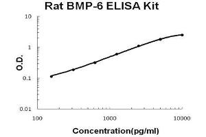 Rat BMP-6 PicoKine ELISA Kit standard curve (BMP6 ELISA Kit)