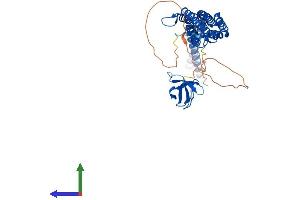AlphaFold protein structure predicition of Mouse Recombinant Pacsin1 Protein, UniprotID Q61644