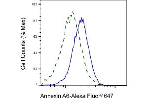 Validation of Annexin A6 knockdown using flow cytometry. (Recombinant ANXA6 antibody)