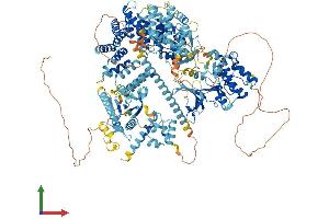 AlphaFold protein structure predicition of Human Recombinant MAP3K15 Protein, UniprotID Q6ZN16 (MAP3K15 Protein (AA 1-1313) (His tag))