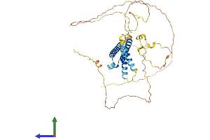 AlphaFold protein structure predicition of Human Recombinant BHLHE40 Protein, UniprotID O14503