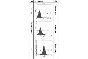 FACS analysis of negative control PC3-MM2 cells only, mock control cells staining with 2nd antibodies and CDH11 stained PC3-MM2 cells. (OB Cadherin antibody  (AA 54-612))