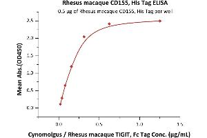 Immobilized Rhesus macaque CD155, His Tag (ABIN6386414,ABIN6388272) at 5 μg/mL (100 μL/well) can bind Cynomolgus / Rhesus macaque TIGIT, Fc Tag (ABIN4949061,ABIN4949062) with a linear range of 0. (Poliovirus Receptor Protein (PVR) (AA 28-343) (His tag))