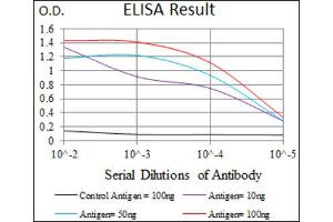 ELISA image for anti-Myocyte Enhancer Factor 2C (MEF2C) (AA 1-125) antibody (ABIN1846463) (MEF2C antibody  (AA 1-125))