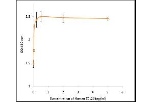 Activity Assay (AcA) image for Chemokine (C-C Motif) Ligand 23 (CCL23) (Active) protein (ABIN5509374) (CCL23 Protein)