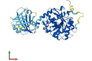 AlphaFold protein structure predicition of Mouse Recombinant Ifi44l Protein, UniprotID Q9BDB7