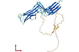 AlphaFold protein structure predicition of Mouse Recombinant Txnip Protein, UniprotID Q8BG60