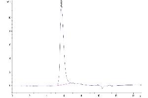 Integrin alpha V, Integrin beta 6 (ITGAV/ITGB6) (AA 31-992) protein (His-Avi Tag)