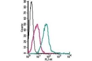 Cell surface detection of P2Y1 Receptor by direct flow cytometry in live intact mouse J774 macrophage cells: (black line) Cells. (P2RY1 antibody  (Extracellular) (FITC))