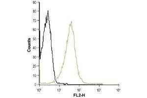 Cell surface detection of KV1. (KCNA3 antibody  (Extracellular))