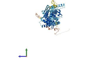 AlphaFold protein structure predicition of Human Recombinant ABCG8 Protein, UniprotID Q9H221