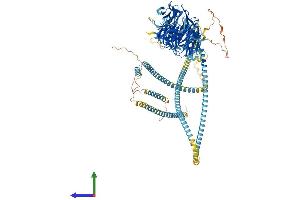 AlphaFold protein structure predicition of Mouse Recombinant Cfap57 Protein, UniprotID Q9D180