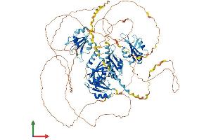 AlphaFold protein structure predicition of Mouse Recombinant Rbm12 Protein, UniprotID Q8R4X3 (RBM12 Protein (AA 1-992) (His tag))