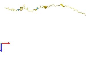 AlphaFold protein structure predicition of Human Recombinant KAAG1 Protein, UniprotID Q9UBP8 (KAAG1 Protein (AA 1-84) (Fc Tag))