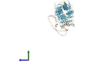 AlphaFold protein structure predicition of Human Recombinant ZNF268 Protein, UniprotID Q14587