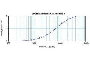 Image no. 1 for anti-Interleukin 3 (IL-3) antibody (Biotin) (ABIN465866) (IL-3 antibody  (Biotin))