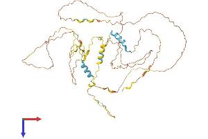 Family with Sequence Similarity 222, Member A (FAM222A) (AA 1-452) protein (His tag)