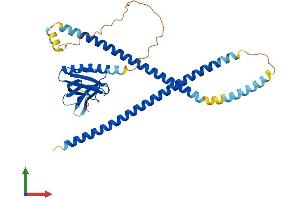 AlphaFold protein structure predicition of Mouse Recombinant Homer3 Protein, UniprotID Q99JP6 (HOMER3 Protein (AA 1-356) (His tag))