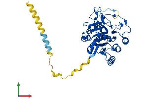AlphaFold protein structure predicition of Human Recombinant B3GALT6 Protein, UniprotID Q96L58