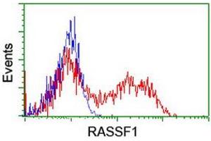 HEK293T cells transfected with either RC213525 overexpress plasmid (Red) or empty vector control plasmid (Blue) were immunostained by anti-RASSF1 antibody (ABIN2454291), and then analyzed by flow cytometry. (RASSF1 antibody  (AA 1-341))