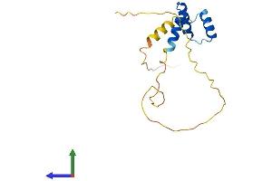 AlphaFold protein structure predicition of Mouse Recombinant Mzt2 Protein, UniprotID Q9CQ25 (MZT2 Protein (AA 1-159) (His tag))