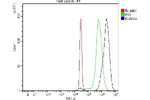 Flow Cytometry analysis of HepG2 cells using anti-JHDM3A/JMJD2A/KDM4A antibody (ABIN7601534). (KDM4A antibody  (AA 379-1064))