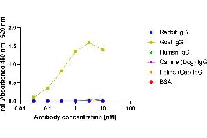 Goat IgG was coated on an ELISA plate at 100 ng. (Recombinant Mouse anti-Goat IgG Antibody)