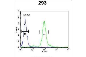 Flow cytometric analysis of 293 cells (right histogram) compared to a negative control cell (left histogram). (FAU antibody)