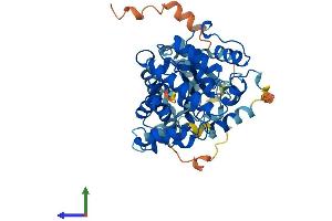 AlphaFold protein structure predicition of Human Recombinant ARHGAP1 Protein, UniprotID Q07960 (ARHGAP1 Protein (AA 1-439) (His tag))