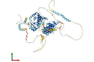 AlphaFold protein structure predicition of Human Recombinant DDX54 Protein, UniprotID Q8TDD1 (DDX54 Protein (AA 1-881) (His tag))