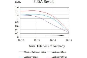 Black line: Control Antigen (100 ng),Purple line: Antigen (10 ng), Blue line: Antigen (50 ng), Red line:Antigen (100 ng) (FCRL3 antibody  (AA 18-153))