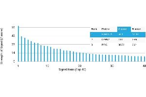 Protein Array (PAr) image for anti-Family with Sequence Similarity 107, Member A (FAM107A) antibody (ABIN7456105) (FAM107A antibody)