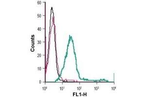 Cell surface detection of GPR65 in live intact human Jurkat T-cell leukemia cells: (black line) Cells. (GPR65 antibody  (1st Extracellular Loop) (FITC))