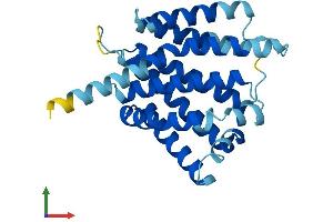 Protein Structure (PS) image for Transmembrane Protein 101 (TMEM101) (AA 1-257) protein (His tag) (ABIN7559998)