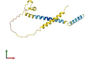 AlphaFold protein structure predicition of Human Recombinant FAM162A Protein, UniprotID Q96A26 (F162A Protein (AA 1-154) (His tag))
