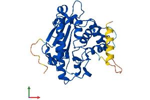 AlphaFold protein structure predicition of Human Recombinant CNOT8 Protein, UniprotID Q9UFF9 (CNOT8 Protein (AA 1-292) (His tag))