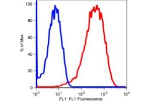 Image no. 2 for anti-Transferrin Receptor (p90, CD71) (TFRC) antibody (FITC) (ABIN2704332) (Transferrin Receptor antibody  (FITC))