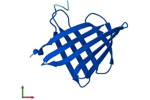 AlphaFold protein structure predicition of Human Recombinant FABP5P3 Protein, UniprotID A8MUU1