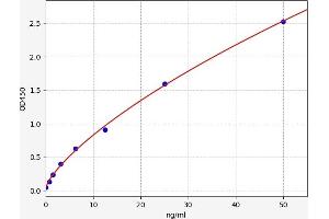 Typical standard curve (CLPB ELISA Kit)